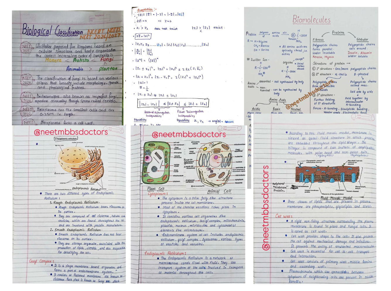 Handwritten notes preview